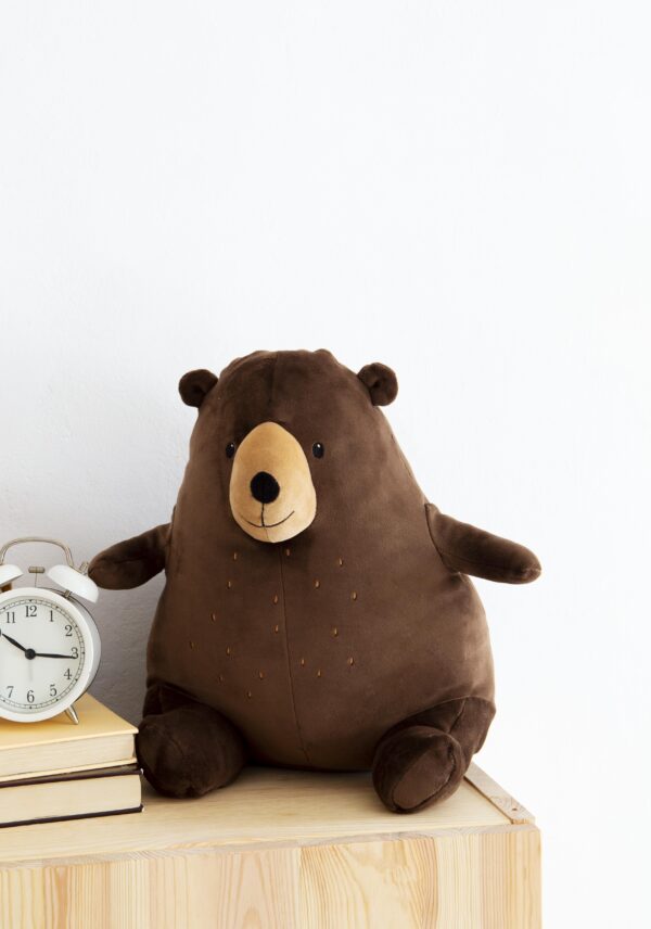 Plush Teddy Bear