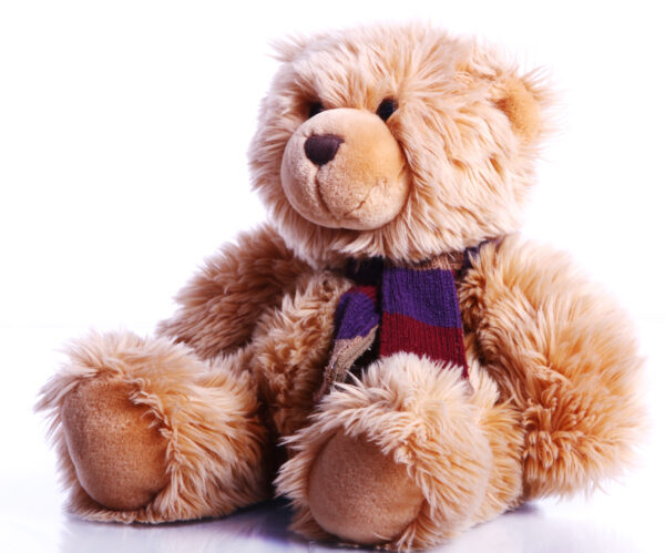 Plush Bear Teddy